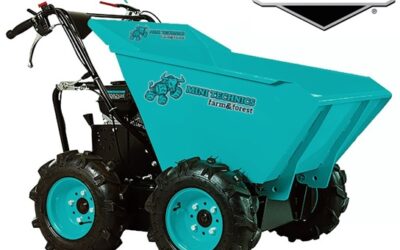 Mini dumper MD300 BS